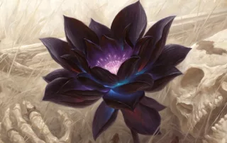 Black Lotus