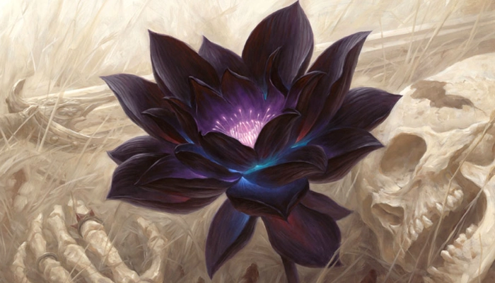 Black Lotus