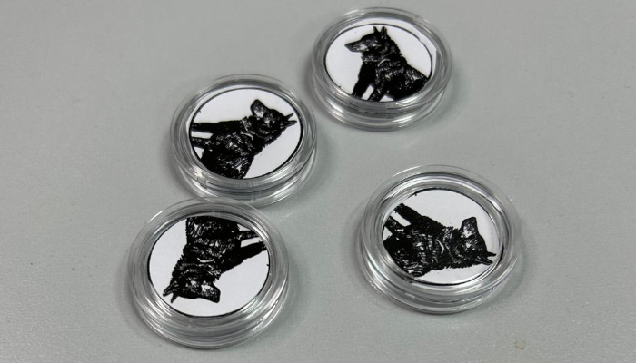 Tokens Personalizables